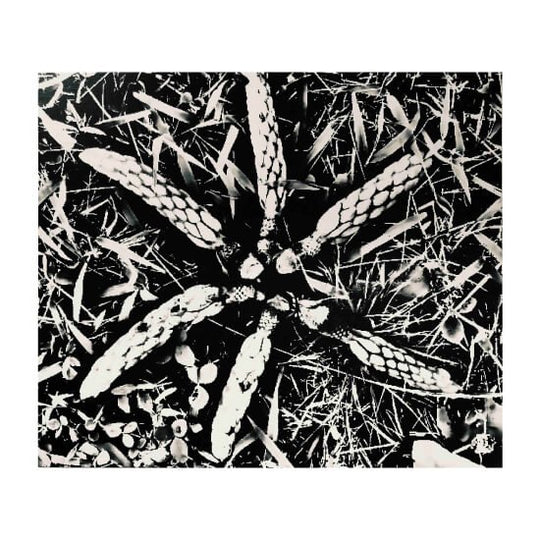 The Selfish Gene #2 (M)