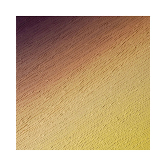 Nobody has seen before you.（N-#3）