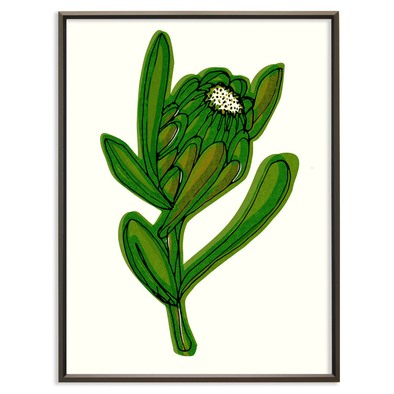 Purity protea green No.126