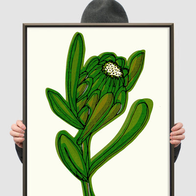 Purity protea green No.126