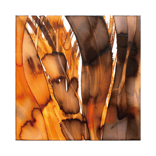 trace of surface #113