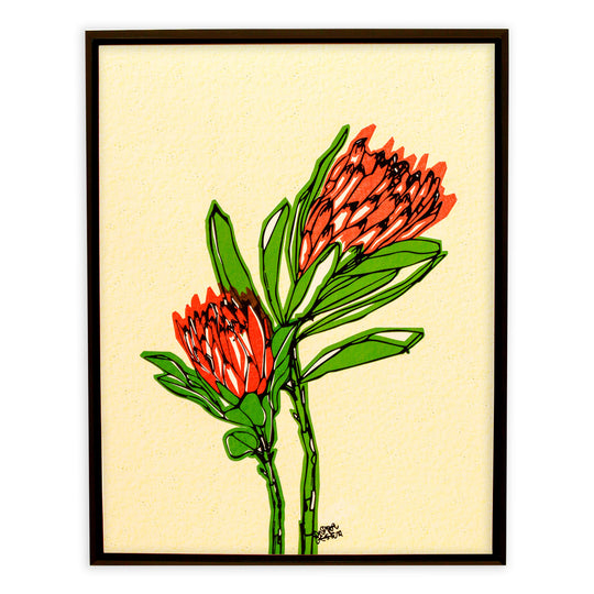 Coral Protia 01 No.155