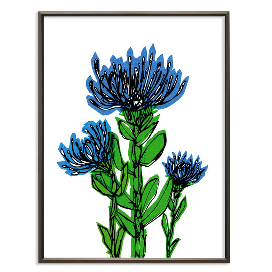 Blue Cornflower No.146