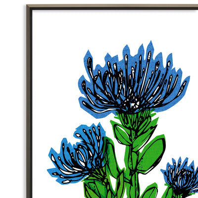 Blue Cornflower No.146