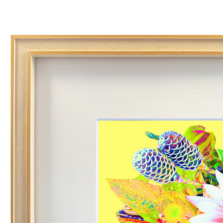 Trip Series to Japan - Ⅰ(Flower Version)