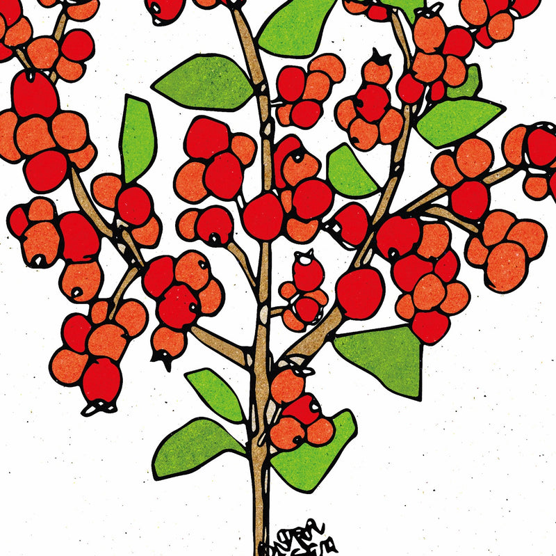Red winterberry No.173【レッドウインターベリー】