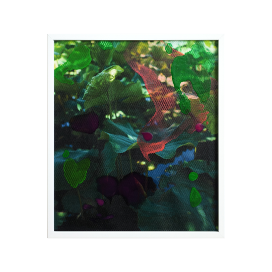 nature "lotus flowers 04"