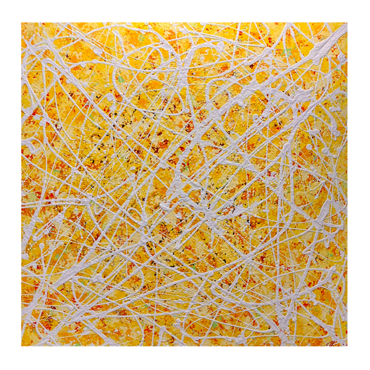 pays du mimosa (ミモザの国)